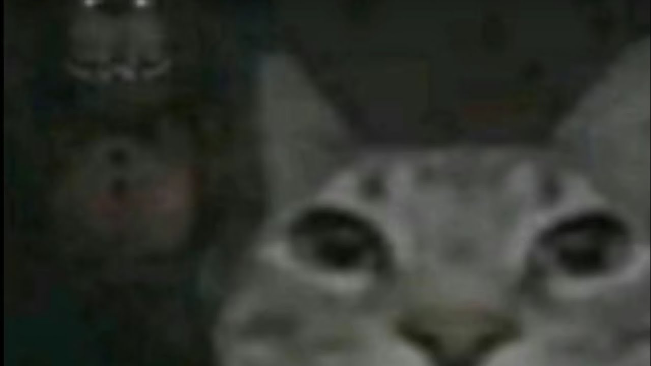 how to demolish a rat pt.2 | Wild rift Gwen vs Teemo