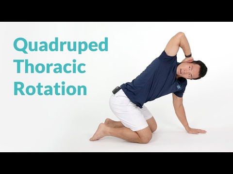 Quadruped Thoracic Rotation for Spine Mobility