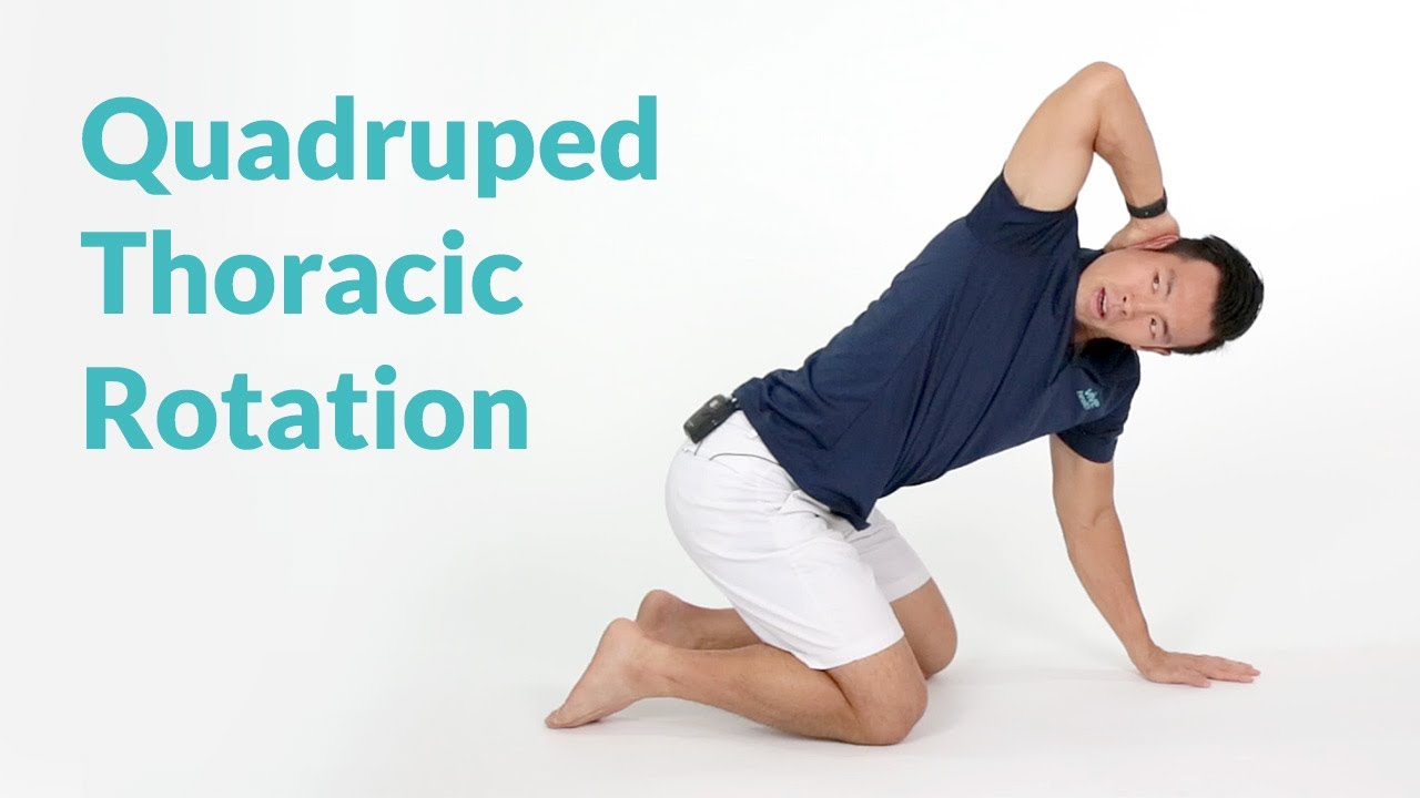 Quadruped Thoracic Rotation for Spine Mobility - YouTube