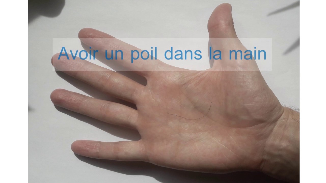Expressions à la française 18 Avoir un poil dans la main YouTube