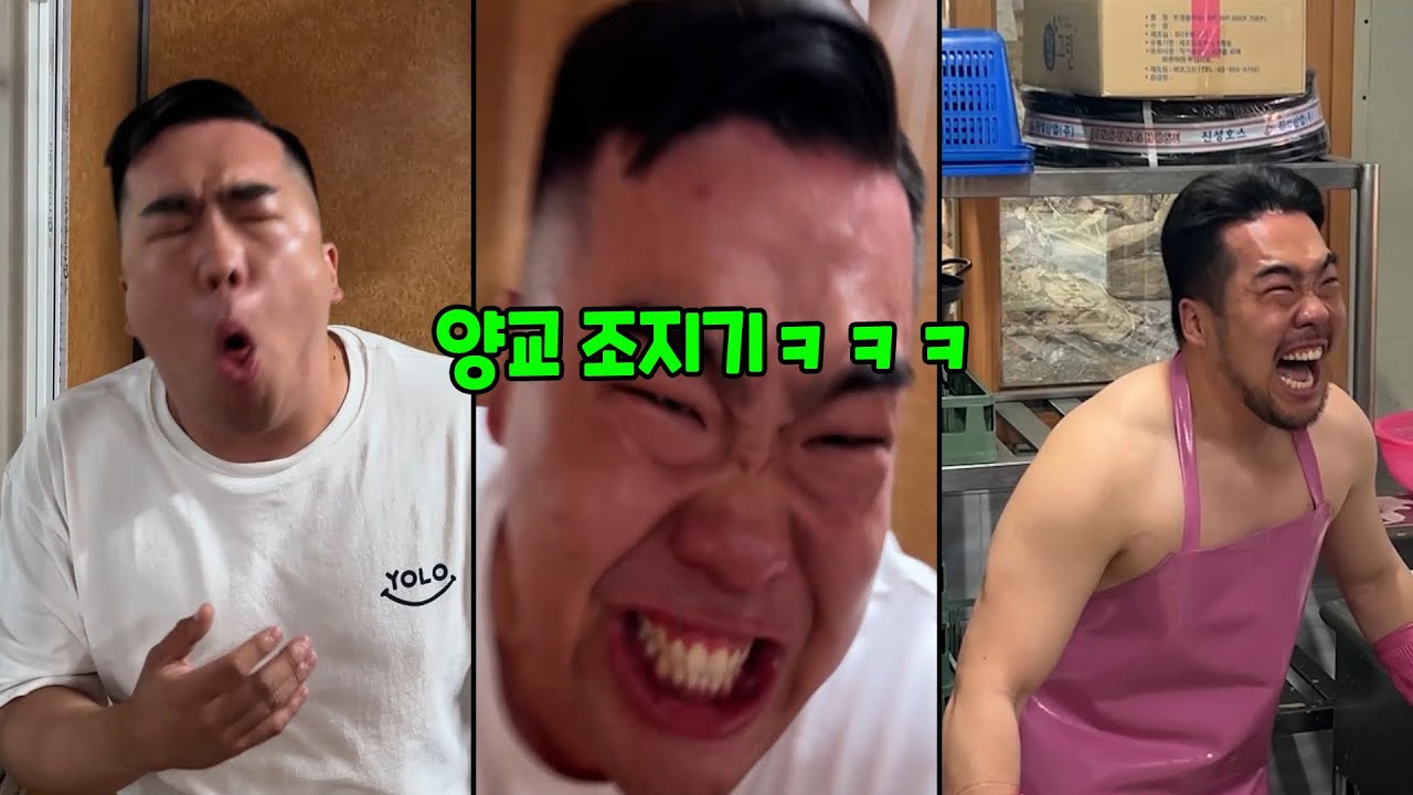 양교 조지기 몰아보기ㅋㅋㅋ