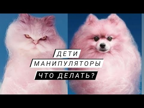 Дети Манипуляторы 😱 Что делать? - YouTube