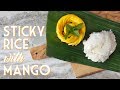 EASY STICKY RICE WITH COCONUT & MANGO Thai Recipe