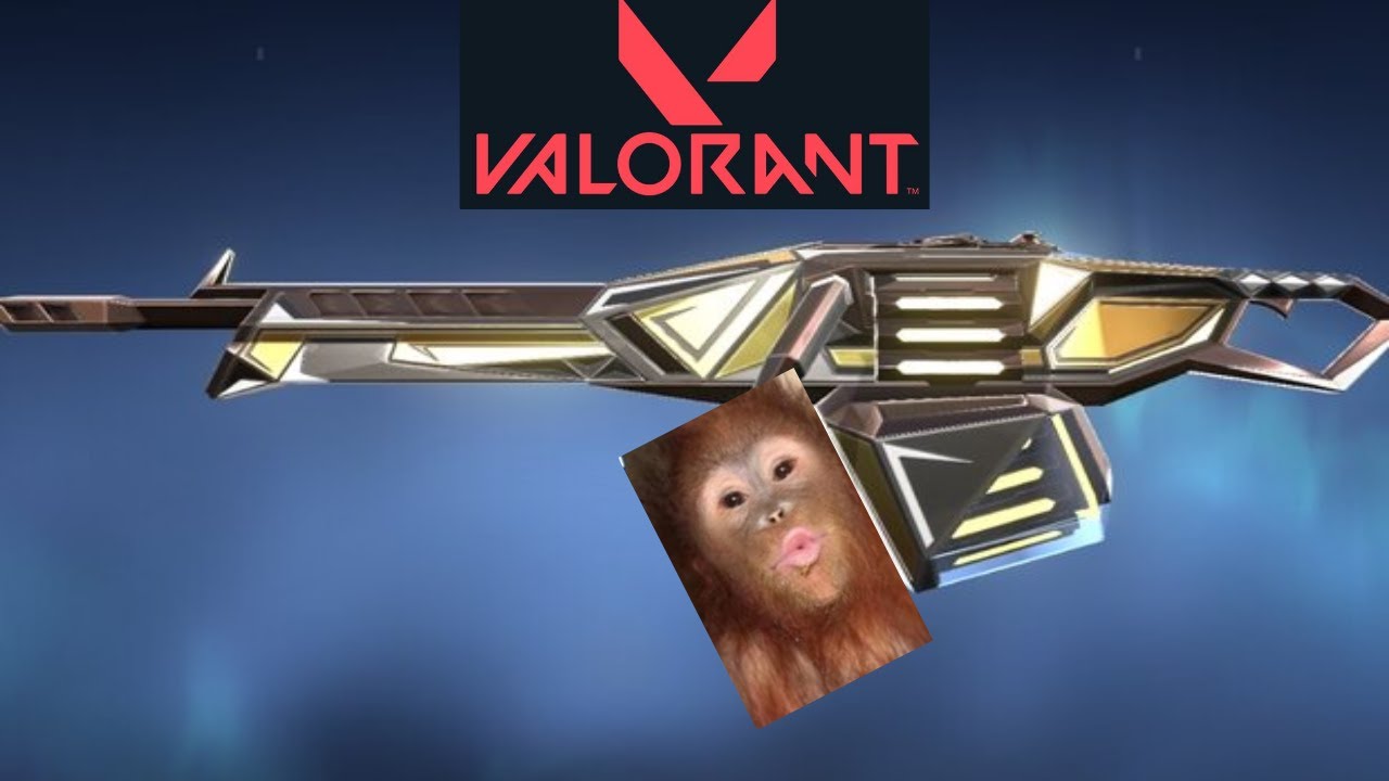 [발로란트] 오딘에 미친 남자