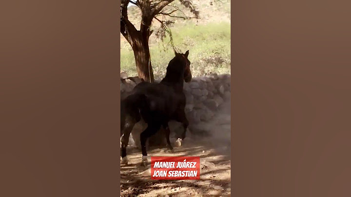 Manuel Juárez - Joan Sebastian
