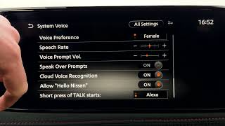 Nissan Ariya Nismo – How to Program Talk Button