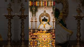 #thoranamalai #தோரணமலை #agasthiyar #theriyar #powrnami #krivalam #tenkasi #pothigai hill #spritual