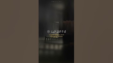تلاوة هادئة و مريحة من القارئ عمير شميم - سورة الحجر آية (٤٩-٥٠)