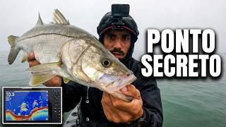Do NADA Achei Um Ponto de Pesca Novo