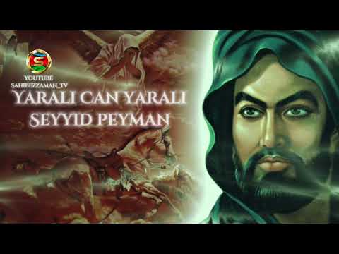 Yaralı Can Yaralı & Seyyid Peyman 2023