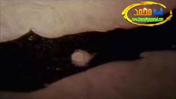 سورة الفاتحة - بصوت القارئ محمد اللحيدان - شبكة أمة محمد