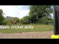 Basic cricket skills 