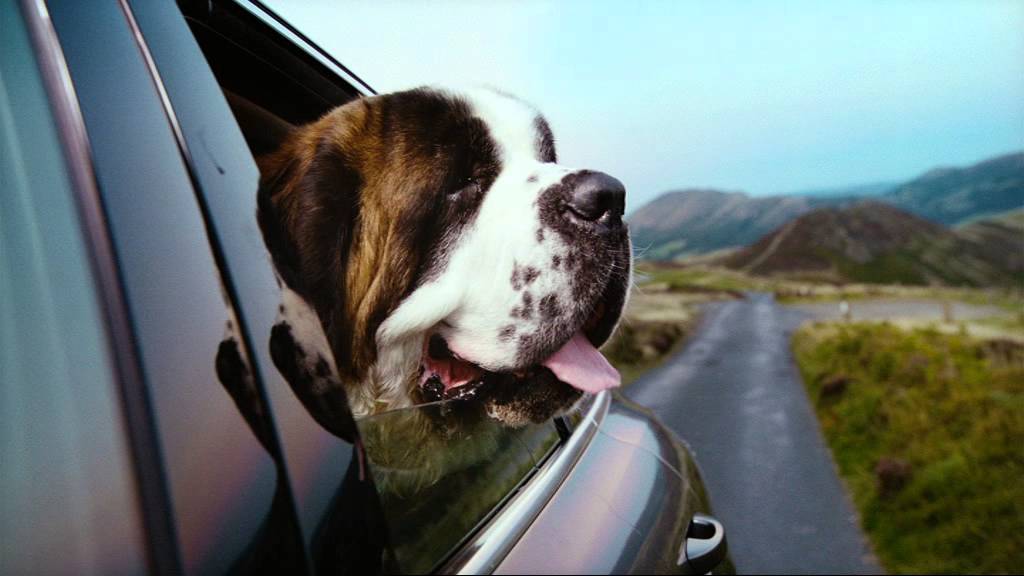 VW Dogs Ad, 30 Seconds - YouTube.