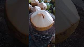 Amazing coconut cutting skill 🥥🔥#coconut#coconutcutting#streetfood#asmr#shorts