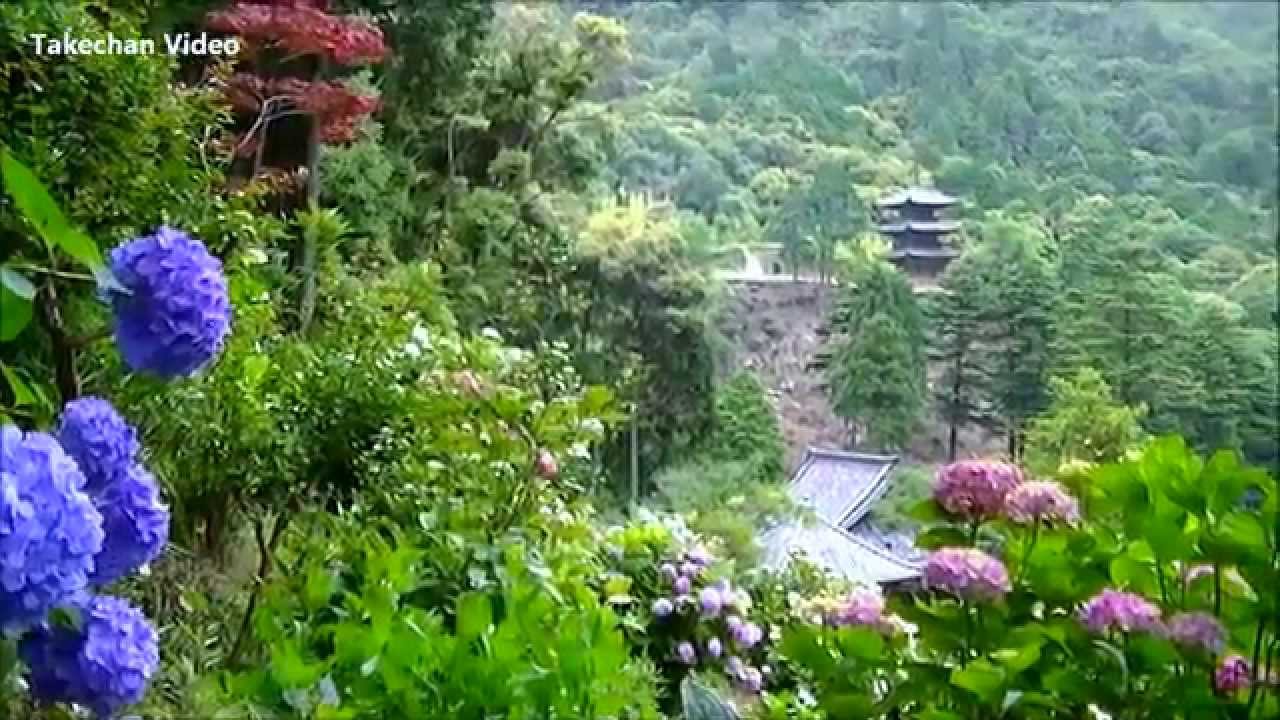 岡山県のアジサイ名所 備前市 大瀧山西法院 あじさい寺 Youtube