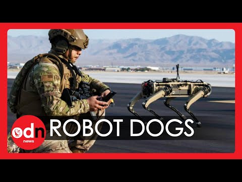 ‘Unstoppable’ Robot Dogs Join US Air Force