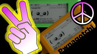 Pwnagotchi Deauth Whitelist (Handshakes, pcap, deauthentication attack, peaceful, friendly, frames)
