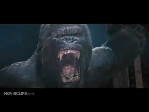 أفلام الدب العملاق HD 