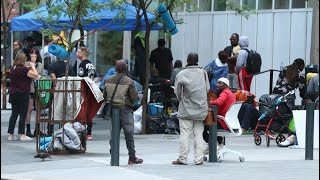 LILLEY UNLEASHED: Liberals thinking of buying hotels to house asylum seekers