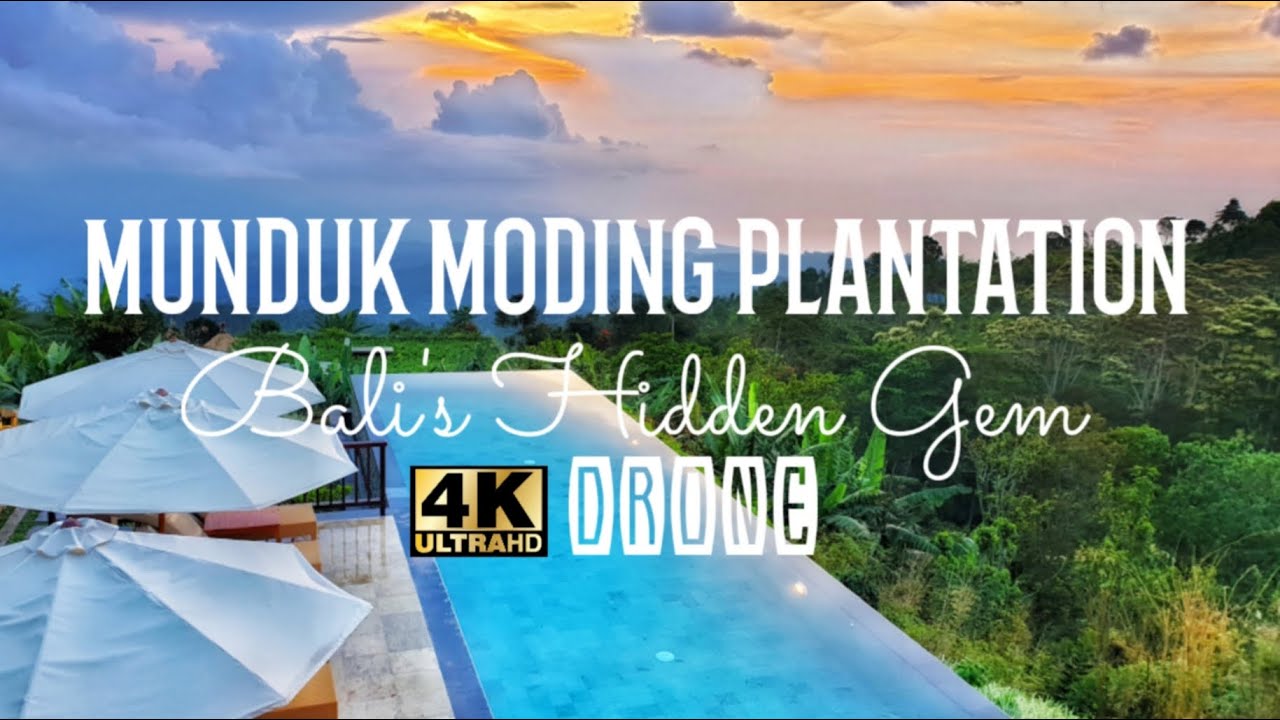 Munduk Moding Plantation Bali S Hidden Gem Youtube