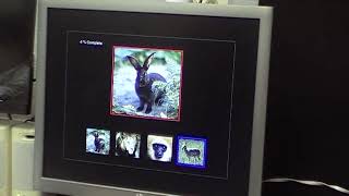 Functional Vision Evaluation - Perceptual Vision System | Family Eye Care