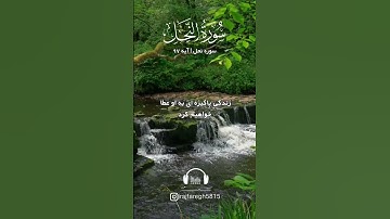 💠سوره نحل آیه ۹۷ با صدای استاد بهروز رضوی نیا💠 #ترجمه_قران #آیات_قرآن