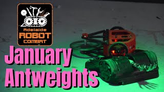 Antweight League January 2020