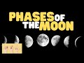 Understanding the Moon and Its Characteristics
