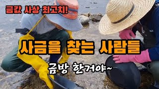 금값 상승에 사금을 찾는 사람들