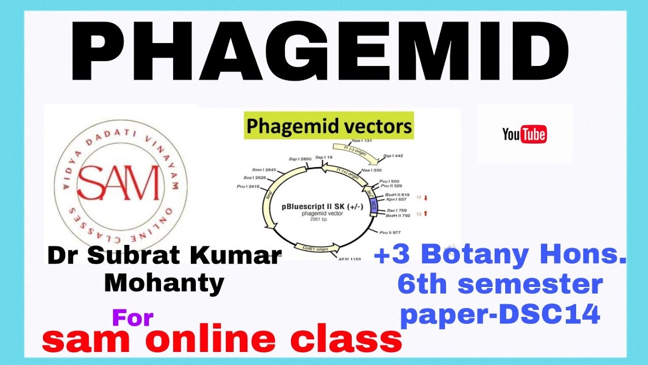 VECTOR PHAGEMID@SAM BIOLOGY 🧫 CLASS.