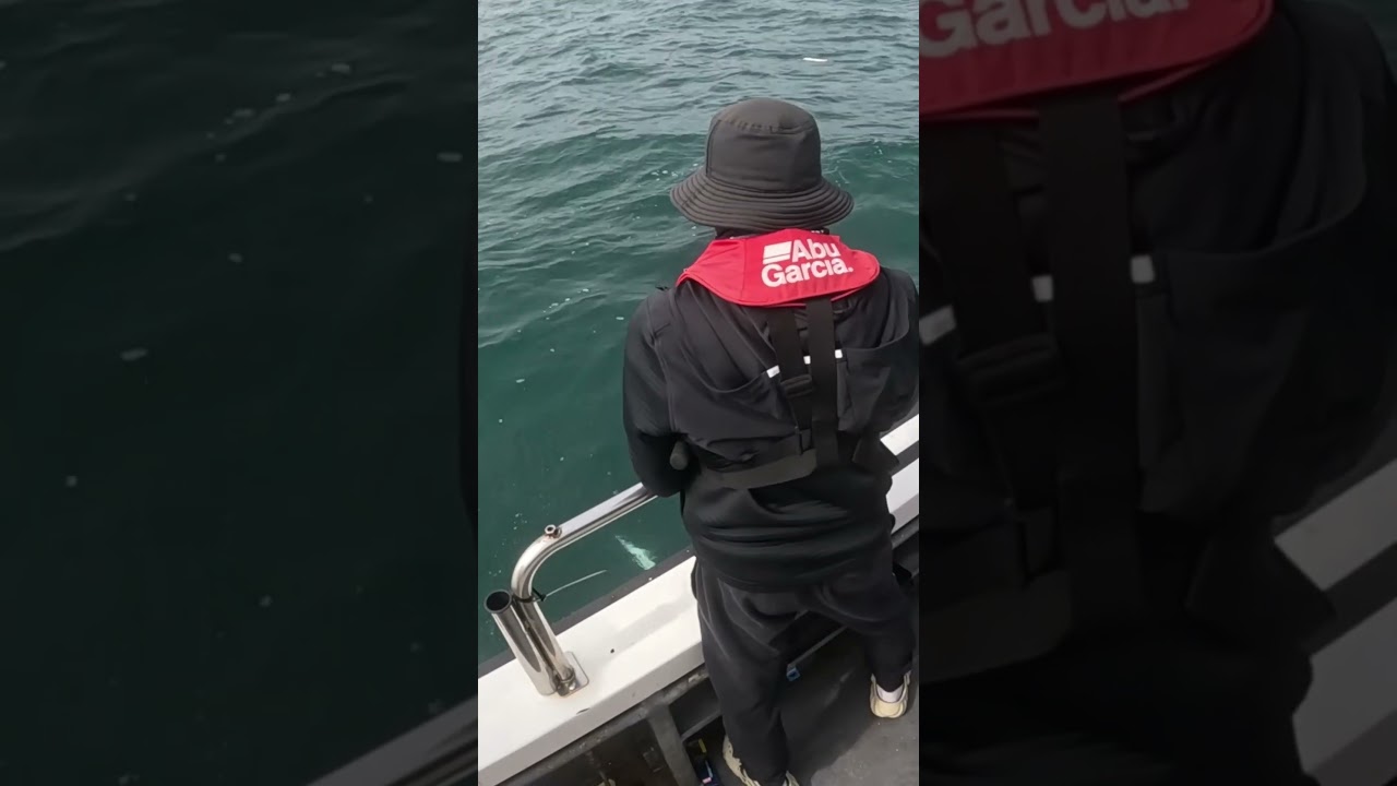 Sea fishing big fish oh my got I think I'm going to fall into the sea because of the strong fish