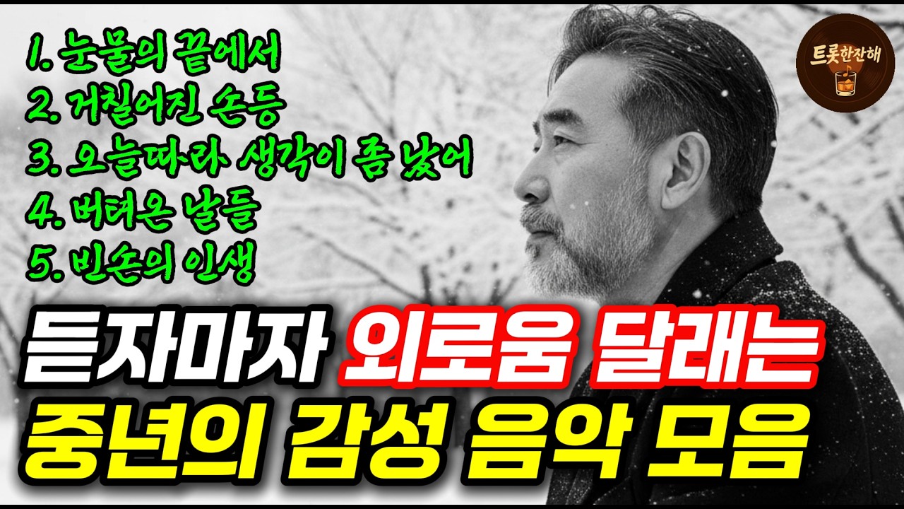 혼자 듣다 눈물 터지는 감성 트로트｜외로운 밤을 달래는 중년의 노래 모음