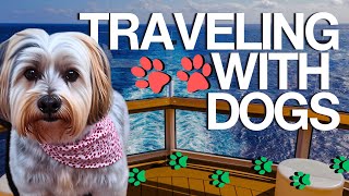 Traveling With Dogs - Tips for Flying & Cruises | Service Dog & ESA Airline Rules
