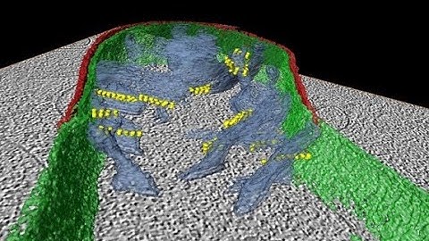 Mitochondria under stress - Dr Georg Ramm  - taken using Cryo-electron Tomography imaging