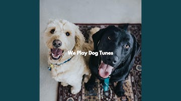 High-class Ambience for Spirited Flow