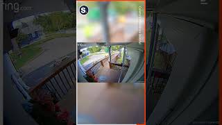 Information Doorbell Camera Captures Sanitation Worker's Kindness to Elderly Woman Guide