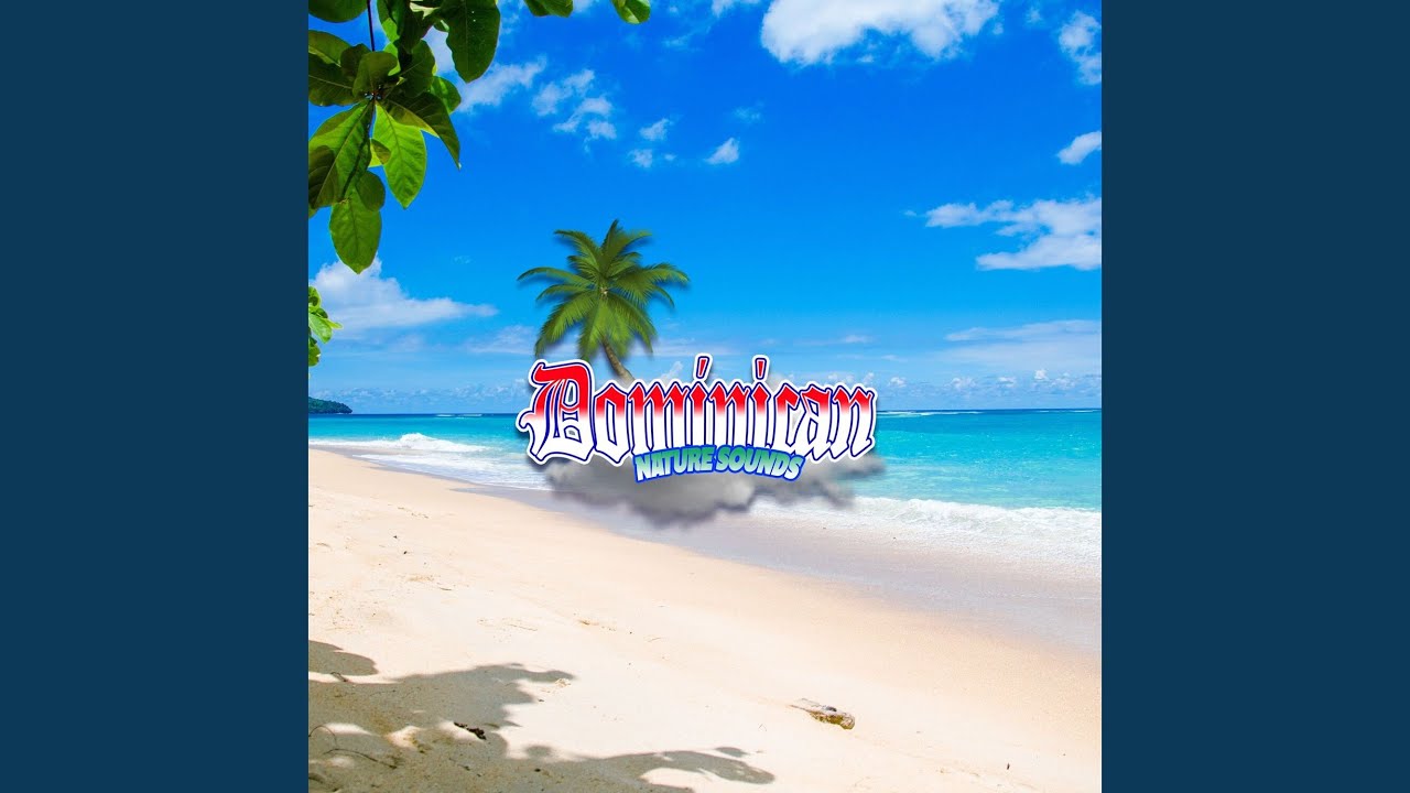 Serene Coastline Symphony