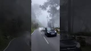 #northbengal #travel #tourism #nature #foggy #viewpoint #tour #trending #trendingvideo #darjeeling