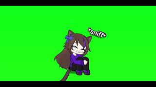 Animation test 2 || gl2