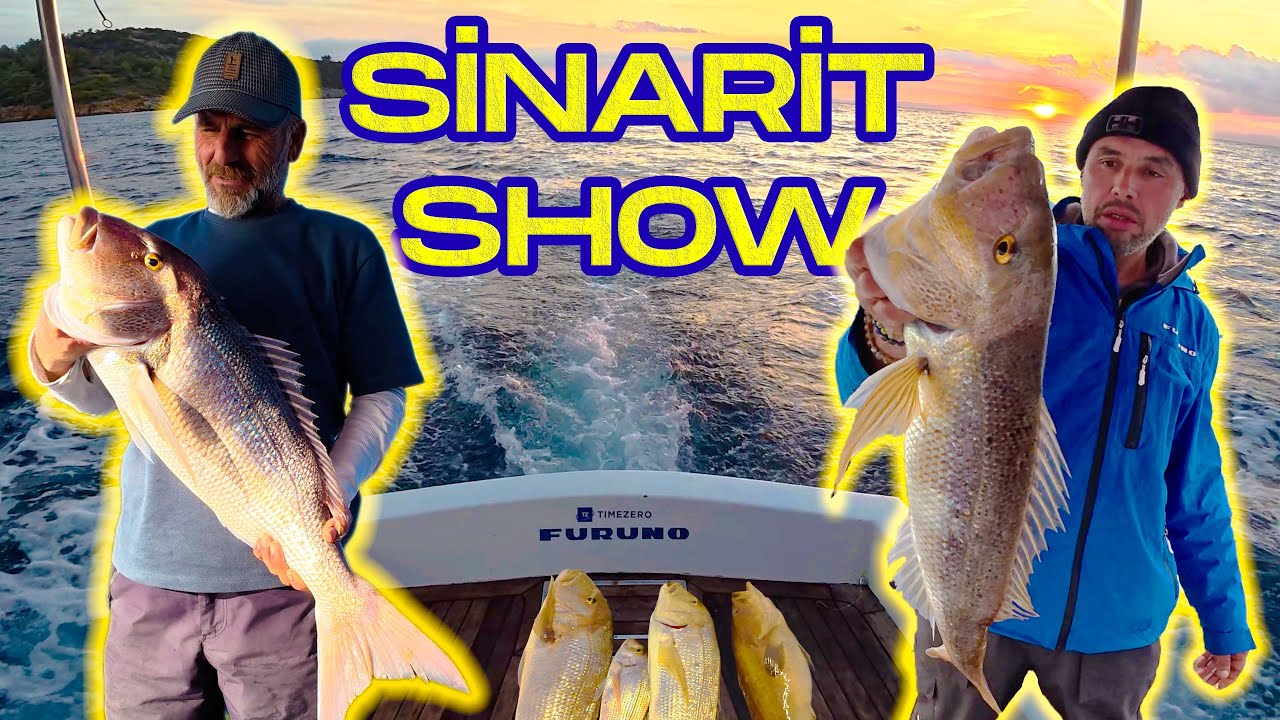 *Bu Balık Affetmiyor! Vampir Sinarit Avı..