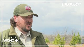Crews battling multiple wildfires in the Carolinas