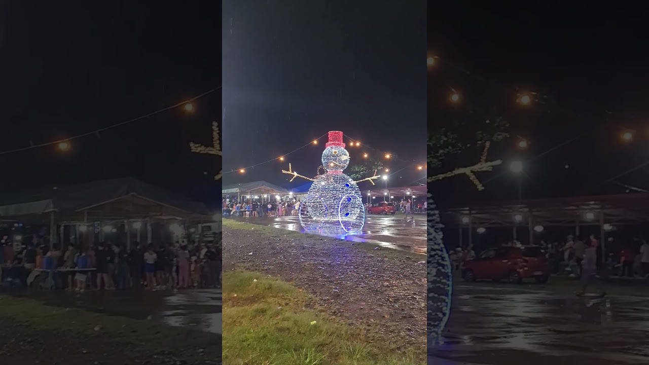 официальное освещение моста Эмбаркадеро с ЖИВОЙ ГРУППОЙ в Муниципальном парке Джонс Изабела.