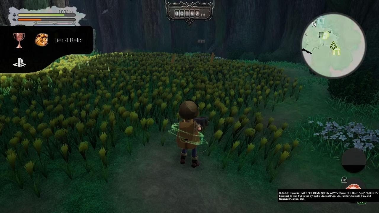 Tier 4 Relic Trophy - MADE IN ABYSS BINARY STAR FALLING INTO DARKNESS