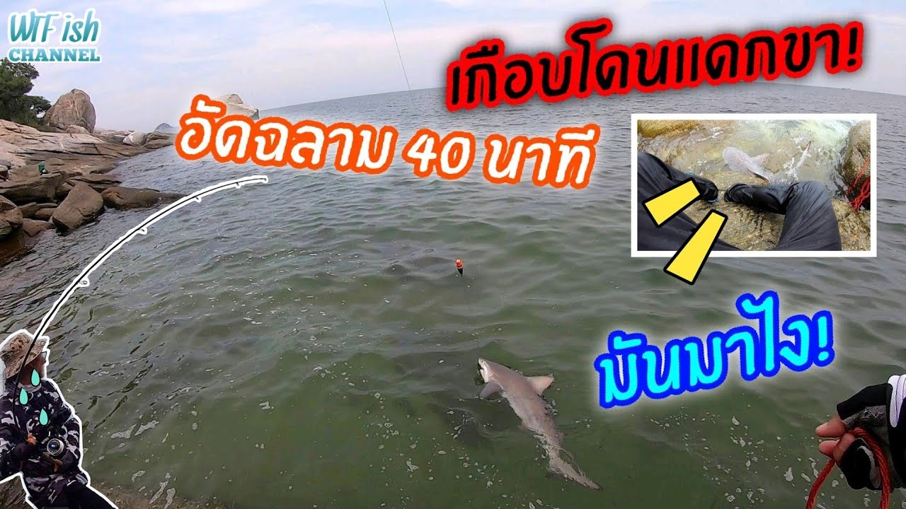 ตกปลาฉลามชายฝั่ง EP.9