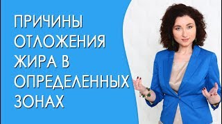 Почему жир скапливается на животе и боках. О чем говорит жир в разных зонах тела