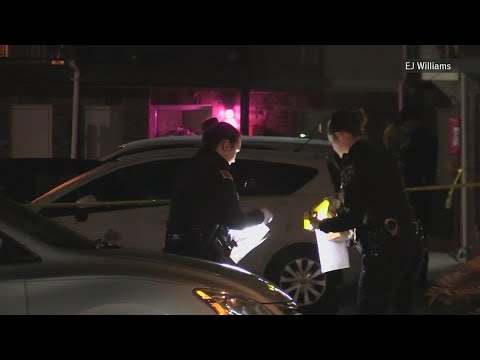 Port Arthur Police searching for suspect after Thursday night shooting ...