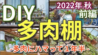 多肉植物】DIY多肉棚の紹介！2022年秋 前編 -多肉にハマって1年半