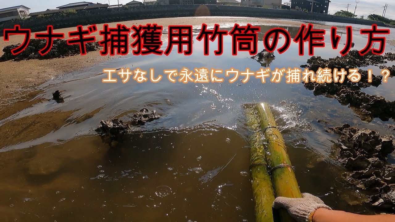 0円でウナギ罠を作ろうぜ！竹筒の作り方教えます。 - YouTube