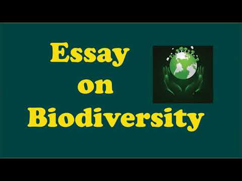 best essay on biological diversity