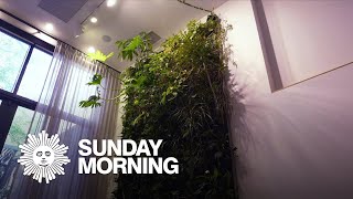 Plant walls: Interior décor that's alive screenshot 5